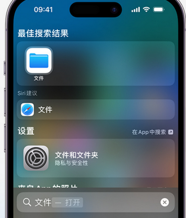 龙山apple维修中心分享iPhone文件应用中存储和找到下载文件