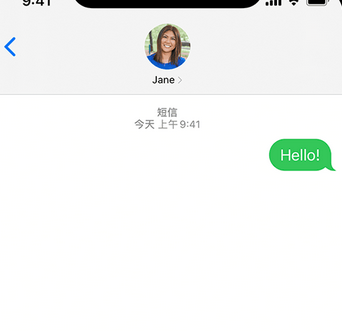 龙山apple维修iPhone上无法正常发送iMessage信息