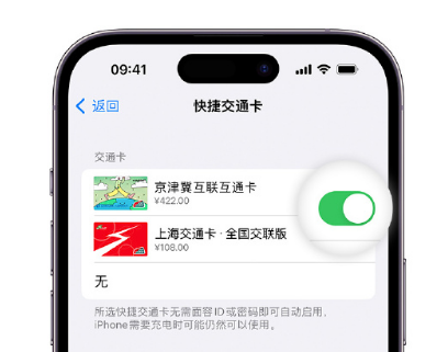 龙山apple维修点分享iPhone上更换Apple Pay快捷交通卡手绘卡面 