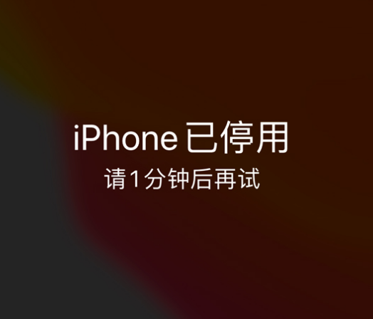 龙山苹果手机维修分享:iPhone 显示“不可用”或“已停用”怎么办？还能保留数据吗？ 