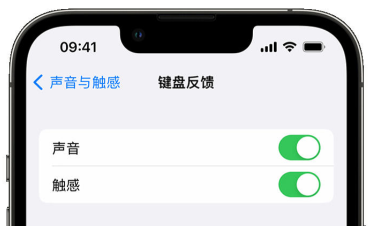 龙山苹果手机维修分享iPhone 14触感键盘使用方法 