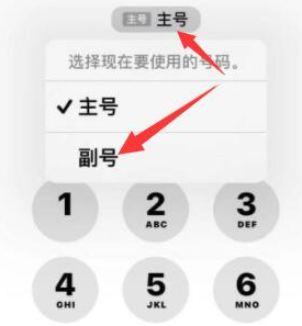 龙山苹果14维修店分享iPhone 14 Pro Max使用副卡打电话的方法 