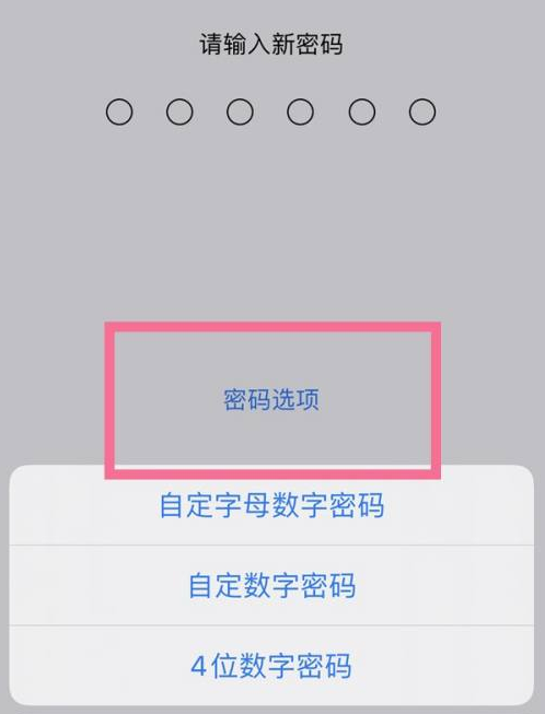 龙山苹果14维修分享iPhone 14plus设置密码的方法 