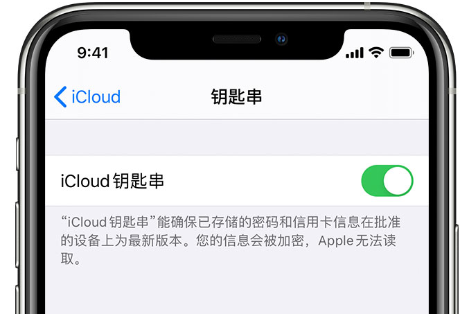 龙山苹果手机维修分享在 iPhone 上开启 iCloud 钥匙串之后会储存哪些信息 